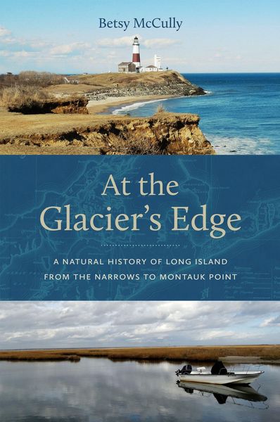 Produktbild: At the Glacier's Edge