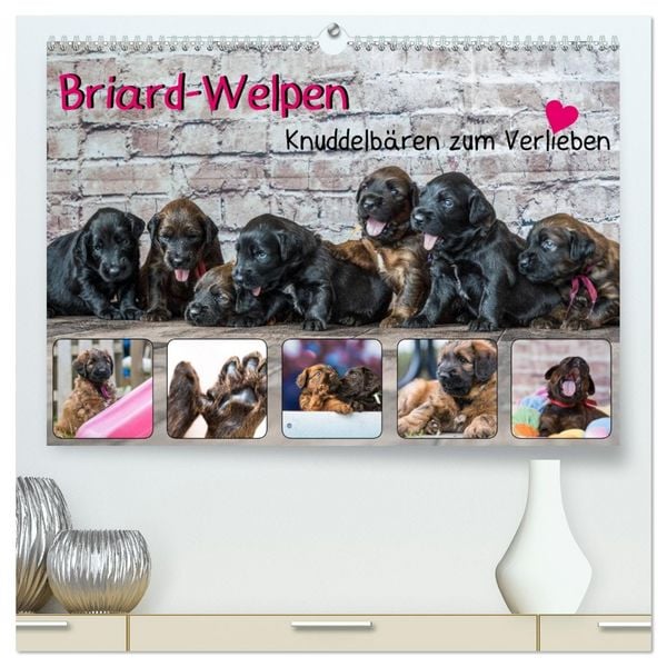 Produktbild: Briard-Welpen - Knuddelb&auml;ren zum Verlieben (hochwertiger Premium Wandkalender 2026 DIN A2 quer), Kunstdruck in Hochglanz