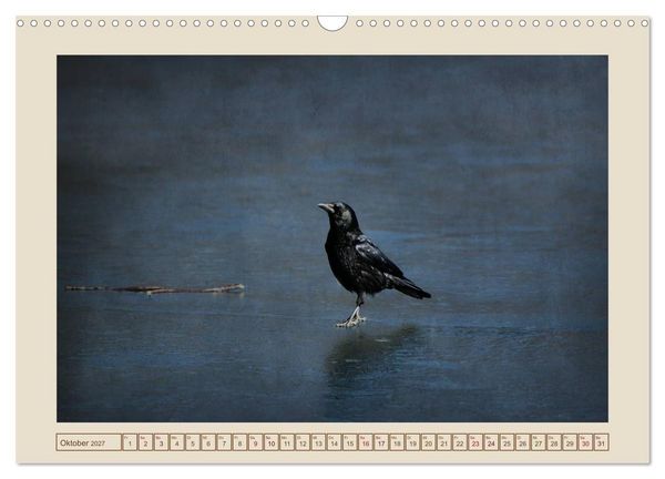 Produktbild: V&ouml;gel am Chemnitzer Schlossteich (Wandkalender 2027 DIN A3 quer), CALVENDO Monatskalender