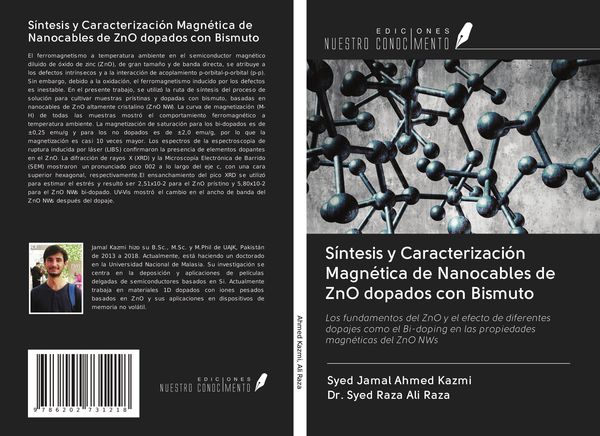 Produktbild: S&iacute;ntesis y Caracterizaci&oacute;n Magn&eacute;tica de Nanocables de ZnO dopados con Bismuto
