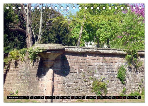 Produktbild: Gr&uuml;nes Mannheim (Tischkalender 2026 DIN A5 quer), CALVENDO Monatskalender