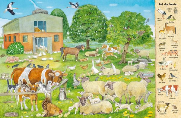 Mein erstes Wimmelbuch: Tierkinder