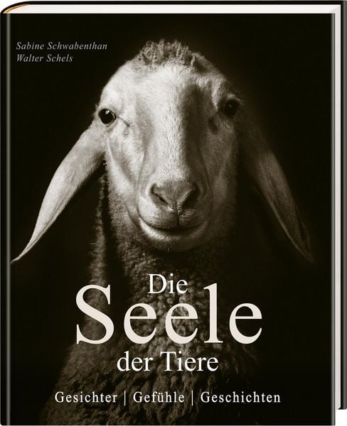 Die Seele der Tiere. Gesichter. Gefühle. Geschichten