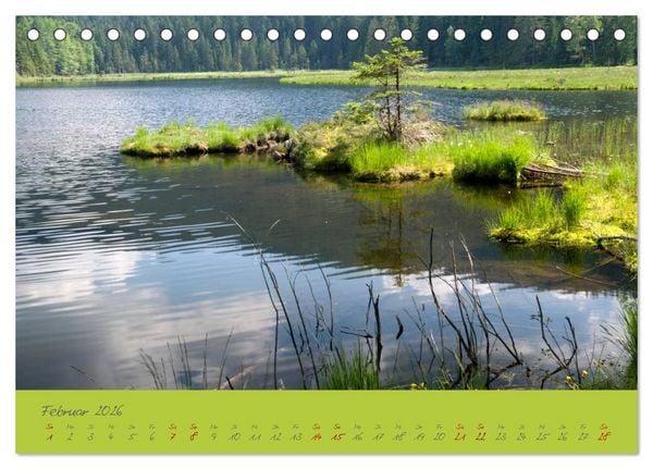 Produktbild: Der Bayerische Wald (Tischkalender 2026 DIN A5 quer), CALVENDO Monatskalender