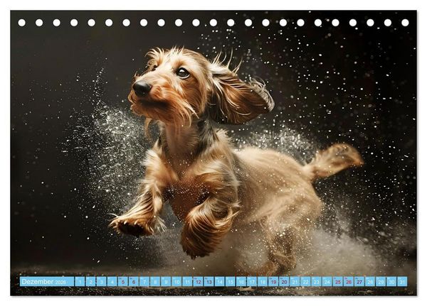 Produktbild: Hunde und Wasser (Tischkalender 2026 DIN A5 quer), CALVENDO Monatskalender