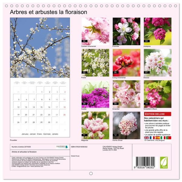 Produktbild: Arbres et arbustes la floraison (Calendrier mural carr&eacute; 2026 30x30 cm) Calendrier double avec une page pour vos prises de notes