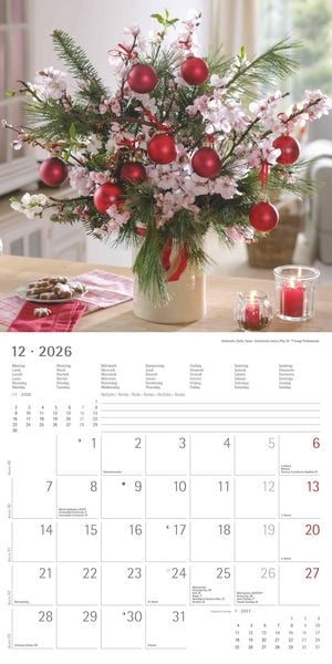 Produktbild: Alpha Edition - Blumenträume 2026 Broschürenkalender, 30x30cm, Wandkalender mit Platz für Notizen und Termine, hochwertige Bildmotive, Mondphasen, Mon