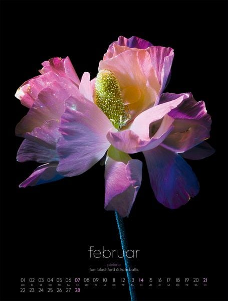 Produktbild: in bloom Kalender 2027