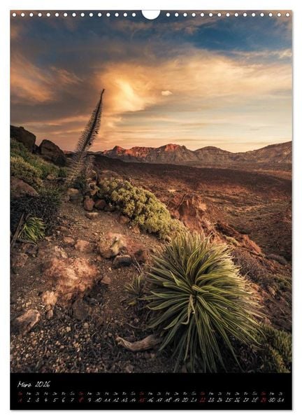 Produktbild: Teneriffa Eine Rundreise (Wandkalender 2026 DIN A3 hoch), CALVENDO Monatskalender