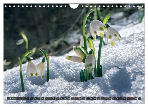 Produktbild: Mein Donautal (Wandkalender 2027 DIN A4 quer), CALVENDO Monatskalender