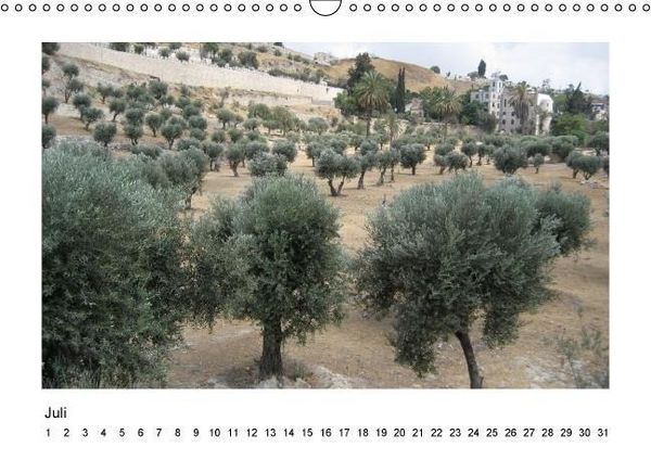 Produktbild: ISRAEL (Wandkalender immerw&auml;hrend DIN A3 quer)