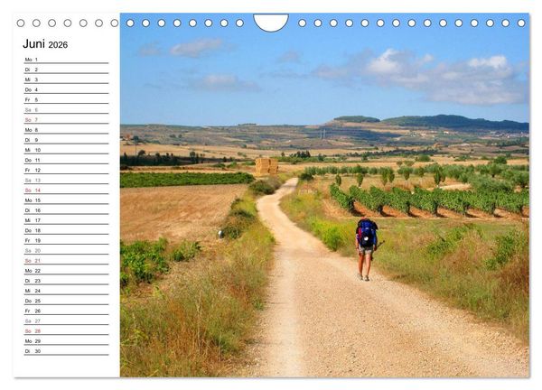 Produktbild: Jakobsweg - Camino Frances (Wandkalender 2026 DIN A4 quer), CALVENDO Monatskalender