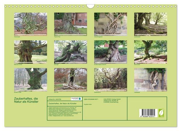 Produktbild: Zauberhaftes, die Natur als K&uuml;nstler (Wandkalender 2027 DIN A3 quer), CALVENDO Monatskalender