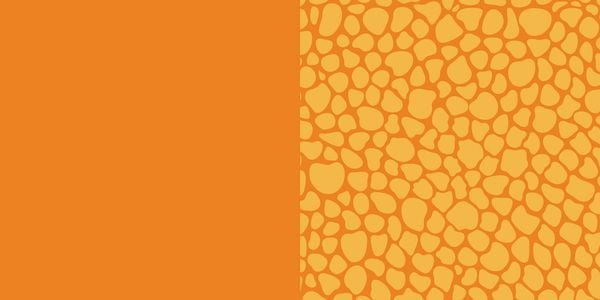 Produktbild: 88 x Origami Kids &ndash; Dino Fun