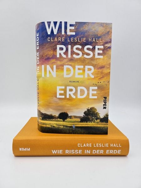 Wie Risse in der Erde