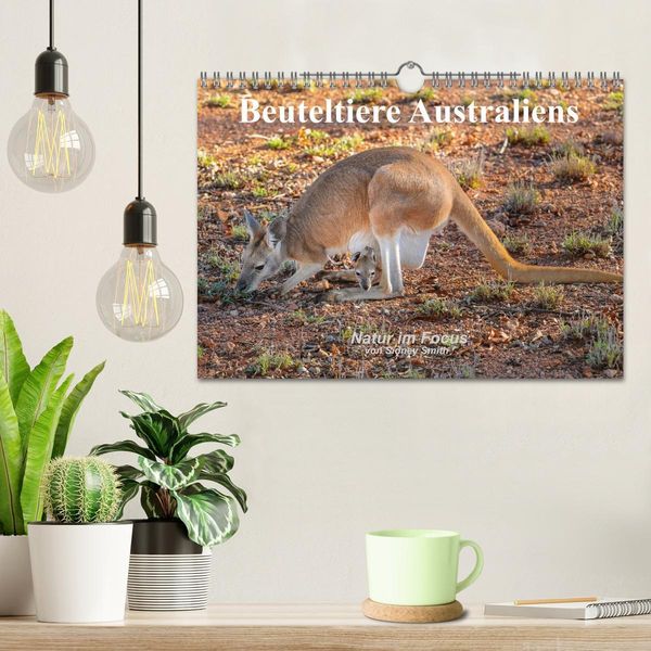 Produktbild: Beuteltiere Australiens (Wandkalender 2026 DIN A4 quer), CALVENDO Monatskalender