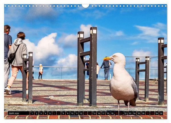 Produktbild: Sylt - Das nordfriesische Ereignis (Wandkalender 2026 DIN A3 quer), CALVENDO Monatskalender