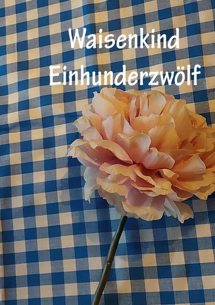 Produktbild: Waisenkind Einhundertzw&ouml;lf