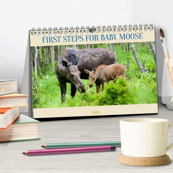 Produktbild: FIRST STEPS FOR BABY MOOSE (Desk Calendar 2026 DIN A5 landscape), CALVENDO 12 Month DeskCalendar