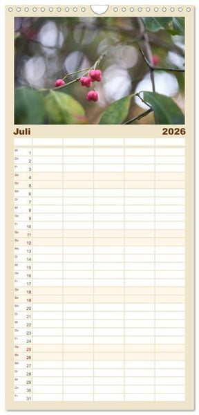 Produktbild: Familienplaner 2026 - Verbl&uuml;hte Sch&ouml;nheiten mit 5 Spalten (Wandkalender, 21 x 45 cm) CALVENDO