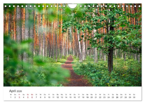Produktbild: Weisheit - Der Weg ist das Ziel (Wandkalender 2026 DIN A4 quer), CALVENDO Monatskalender