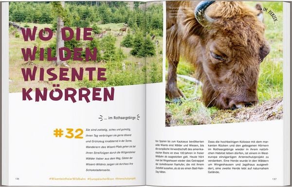 Produktbild: 52 kleine & gro&szlig;e Eskapaden in Deutschland &ndash; Unterwegs mit Kindern