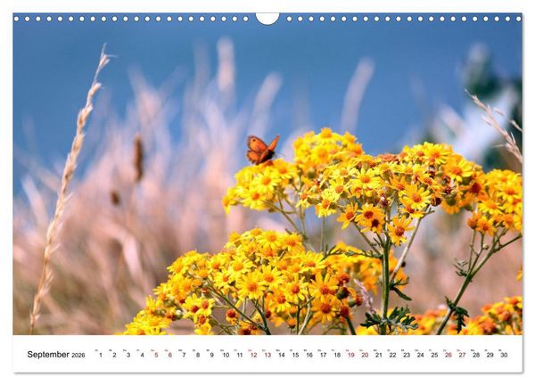 Produktbild: Normandie - zwischen Land und Meer (Wandkalender 2026 DIN A3 quer), CALVENDO Monatskalender