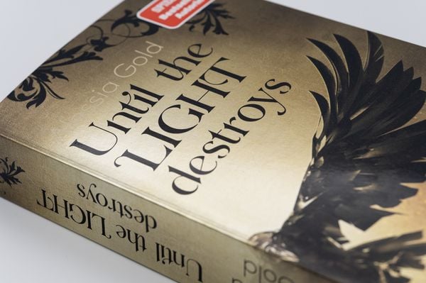Produktbild: Until the Light destroys