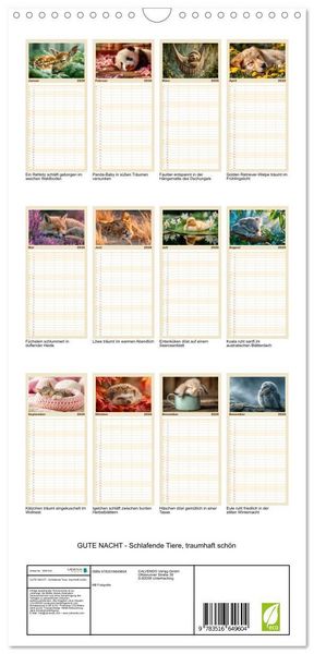 Produktbild: Familienplaner 2026 - GUTE NACHT - Schlafende Tiere, traumhaft sch&ouml;n mit 5 Spalten (Wandkalender, 21 x 45 cm) CALVENDO