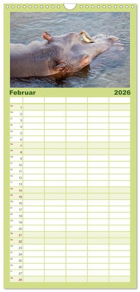 Produktbild: Familienplaner 2026 - Nilpferde, Kolosse im Wasser mit 5 Spalten (Wandkalender, 21 x 45 cm) CALVENDO