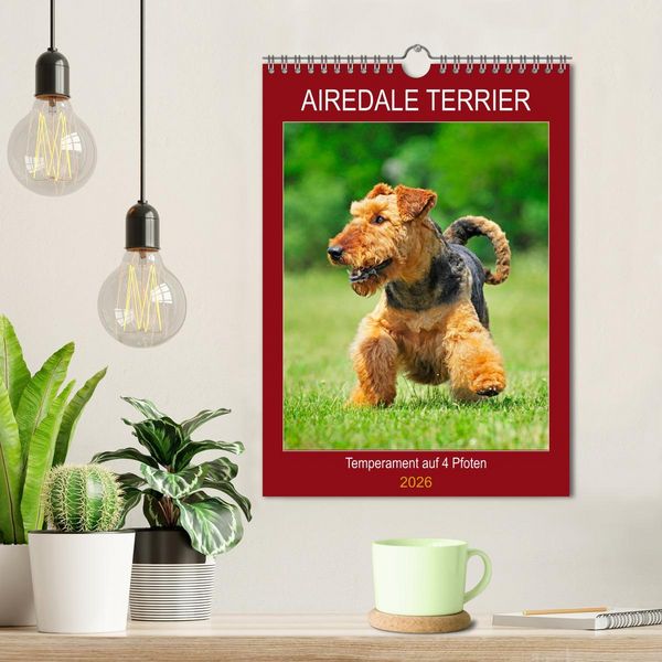 Produktbild: Airedale Terrier - Temperament auf 4 Pfoten (Wandkalender 2026 DIN A4 hoch), CALVENDO Monatskalender