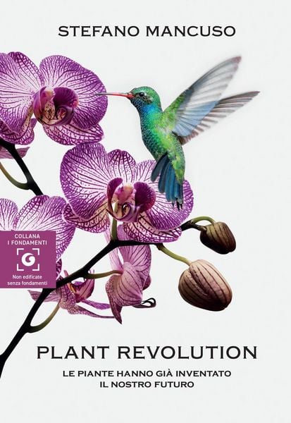 Produktbild: Plant revolution. Le piante hanno gi&agrave; inventato il nostro futuro