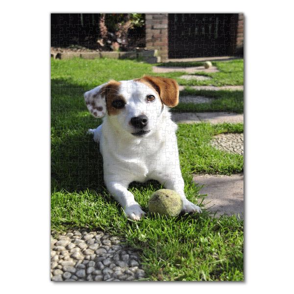 Produktbild: Lais Puzzle Jack Russell 500 Teile
