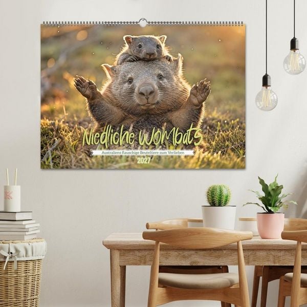 Produktbild: Niedliche Wombats - Australiens flauschige Beuteltiere zum Verlieben (Wandkalender 2027 DIN A2 quer), CALVENDO Monatskalender