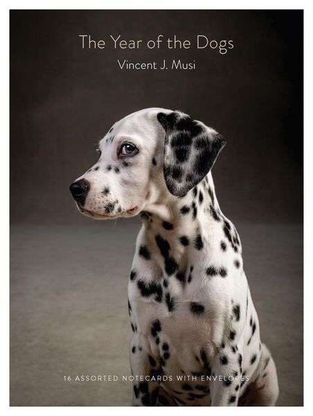 Produktbild: The Year of the Dogs Notecards