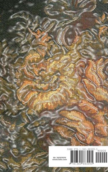 Produktbild: Homeless in College