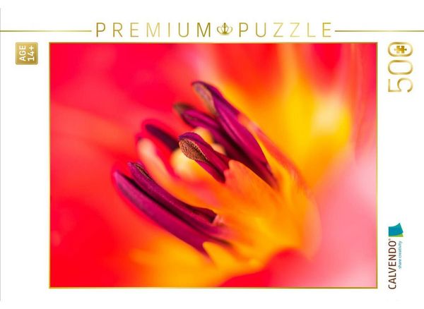 CALVENDO Puzzle Blütendetails: Blick in eine Tulpenblüte | 500 Teile Lege-Größe 48 × 36 cm Foto-Puzzle für Erwachsene