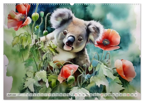 Produktbild: Koalas, liebenswerte kleine Schlafm&uuml;tzen (hochwertiger Premium Wandkalender 2026 DIN A2 quer), Kunstdruck in Hochglanz