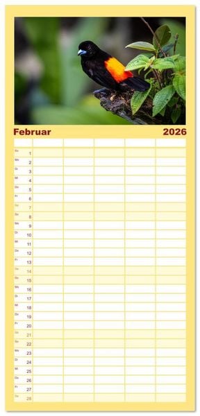 Produktbild: Familienplaner 2026 - Phantastische Vogelwelt Costa Rica mit 5 Spalten (Wandkalender, 21 x 45 cm) CALVENDO