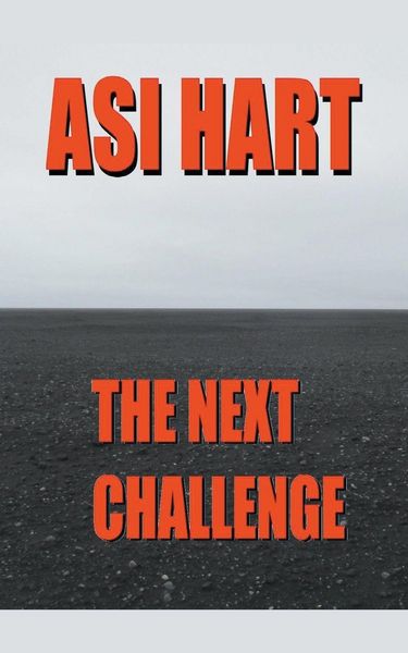 Produktbild: The Next Challenge