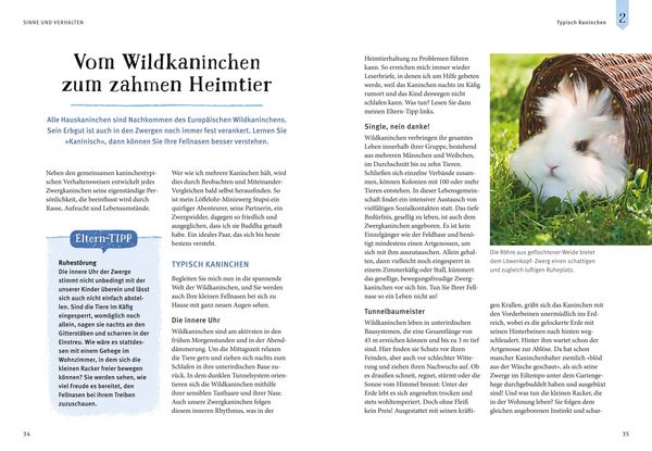 Produktbild: Liebenswerte Zwergkaninchen