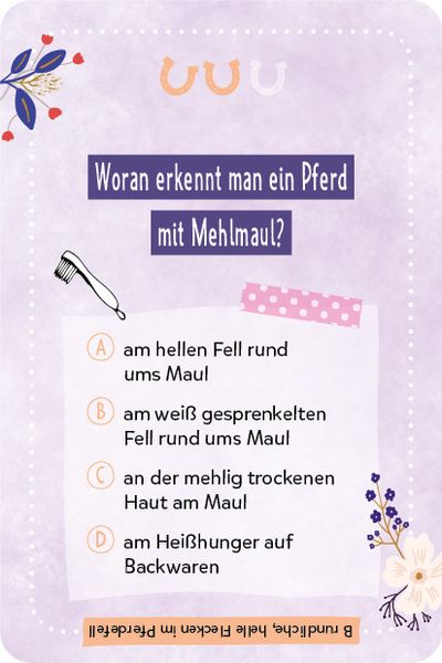 Kartenspiel: Das pferdestarke Quiz von den beliebten Social-Media-Stars Lia und Lea - # ponylife