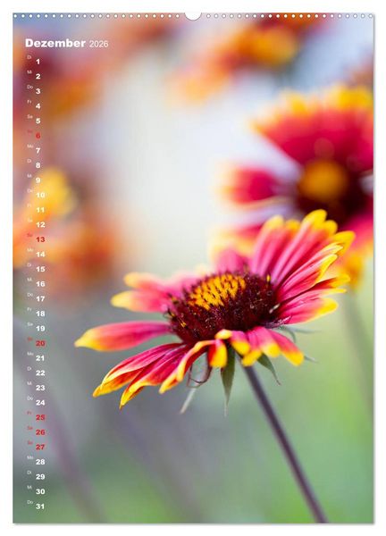 Produktbild: Colors of Nature (Wandkalender 2026 DIN A2 hoch), CALVENDO Monatskalender