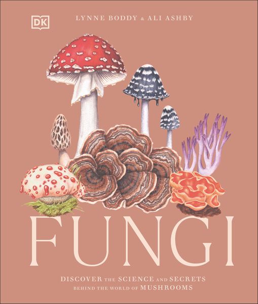 Produktbild: Fungi