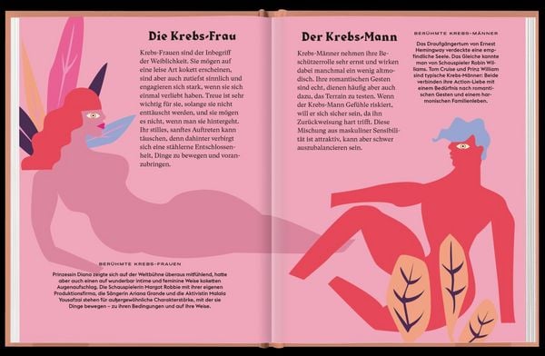 Produktbild: Krebs