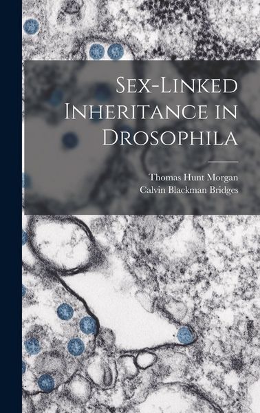 Produktbild: Sex-Linked Inheritance in Drosophila