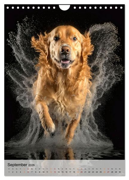 Produktbild: Golden Retriever - ein Hund f&uuml;r die Familie (Wandkalender 2026 DIN A4 hoch), CALVENDO Monatskalender