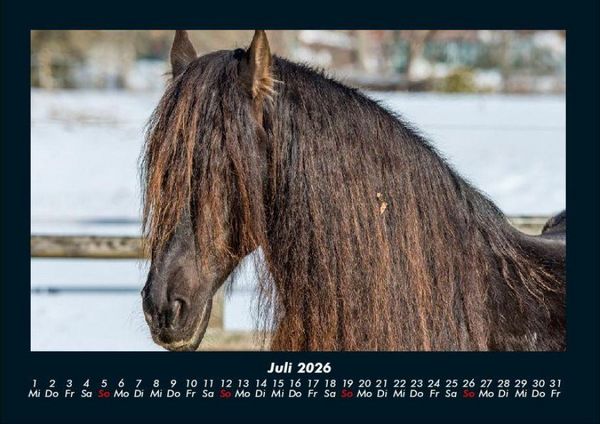 Produktbild: Die Welt der Pferde 2026 Fotokalender DIN A4