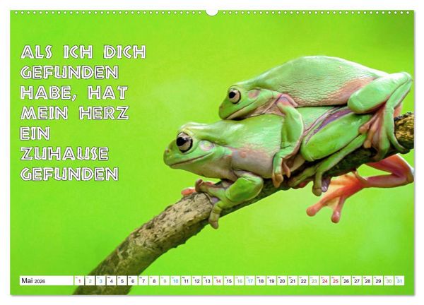 Produktbild: Frosch quakt Spr&uuml;che (hochwertiger Premium Wandkalender 2026 DIN A2 quer), Kunstdruck in Hochglanz