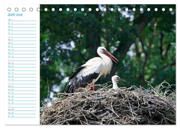 Produktbild: Wundersch&ouml;ner Spreewald (Tischkalender 2026 DIN A5 quer), CALVENDO Monatskalender